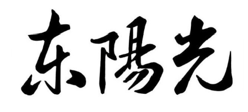 东阳光股份有限公司