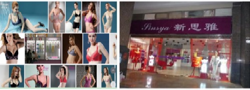 深圳市新思雅服饰有限公司